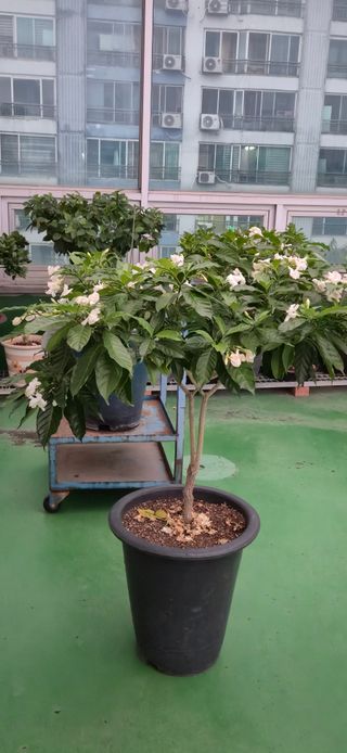 정인환님의 자유주제 · 자유게시판 작성글 사진