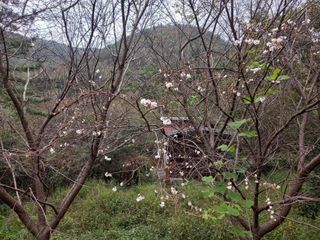 연향님의 자유주제 · 자유게시판 작성글 사진