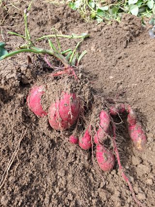 문영식님의 자유주제 · 자유게시판 작성글 사진
