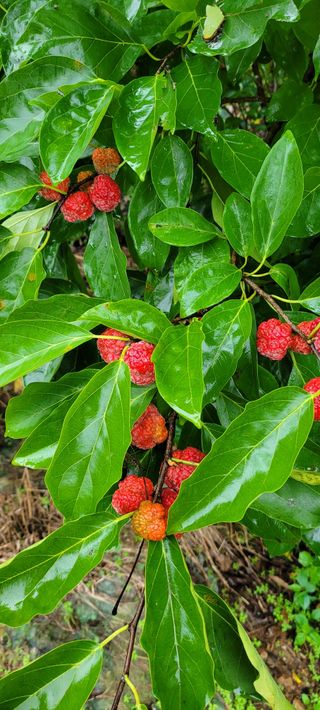 땅땅님의 자유주제 · 자유게시판 작성글 사진