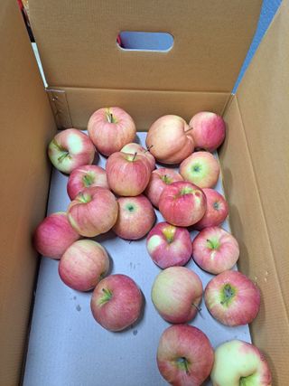 박수정님의 작성글 사진