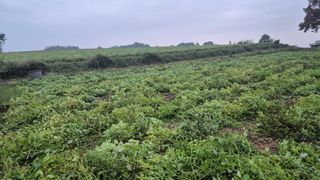 송하영님의 자유주제 · 자유게시판 작성글 사진