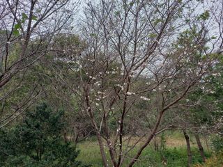 연향님의 자유주제 · 자유게시판 작성글 사진