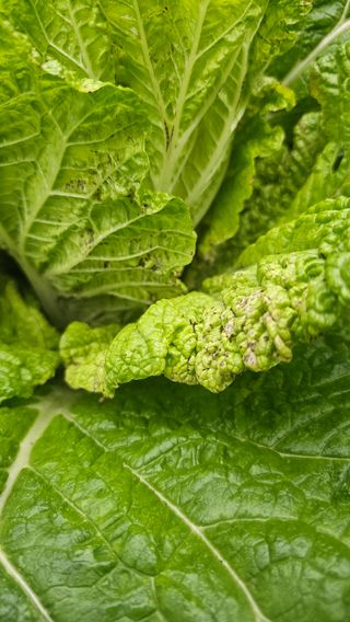 강병천님의 자유주제 · 자유게시판 작성글 사진