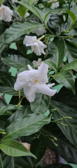 정인환님의 자유주제 · 자유게시판 작성글 사진