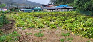 땅땅님의 자유주제 · 자유게시판 작성글 사진