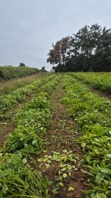 팜모닝 자유주제·자유게시판 게시글 이미지