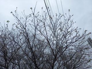 연향님의 자유주제 · 자유게시판 작성글 사진