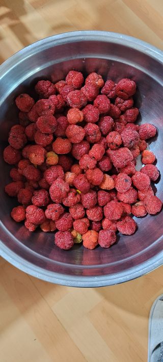 땅땅님의 자유주제 · 자유게시판 작성글 사진