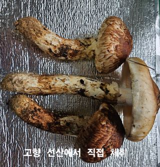 김시현 님의 자유주제 · 자유게시판 작성글 사진