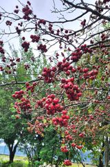 팜모닝 자유주제·자유게시판 게시글 이미지