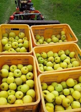 써니네님의 작성글 사진