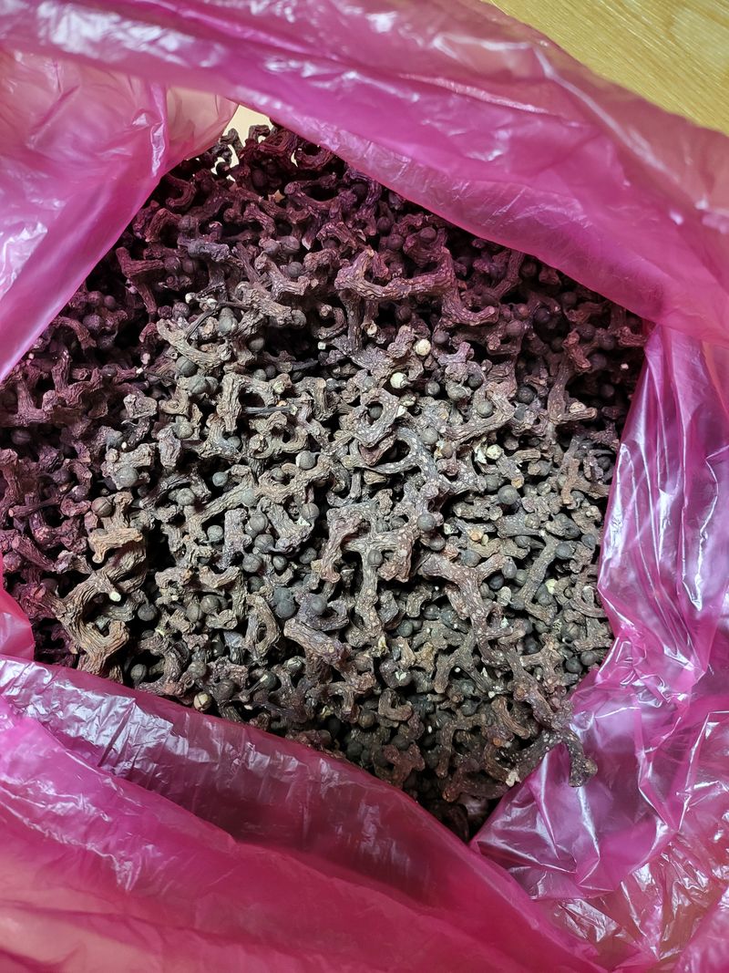 장터 상품 [헛개나무열매 팝니다] 썸네일