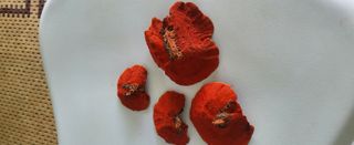 샘골농장 마음만청춘님의 자유주제 · 사진전 작성글 사진