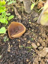 팜모닝 자유주제·자유게시판 게시글 이미지