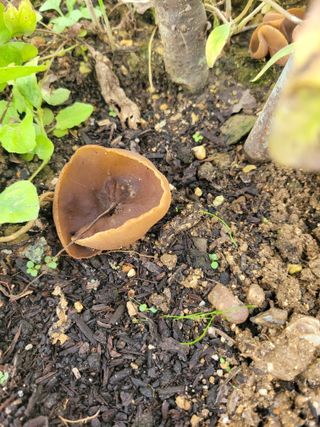 블루베리15656님의 자유주제 · 자유게시판 작성글 사진