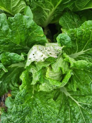 감자21491님의 자유주제 · 자유게시판 작성글 사진