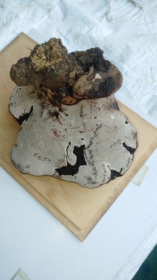 문상욱님의 자유주제 · 자유게시판 작성글 사진