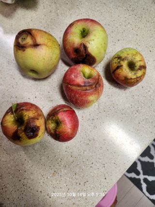 박재곤님의 자유주제 · 자유게시판 작성글 사진