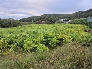 이정민님의 자유주제 · 자유게시판 작성글 사진