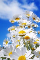 팜모닝 자유주제·자유게시판 게시글 이미지