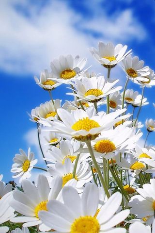 김윤기님의 자유주제 · 자유게시판 작성글 사진