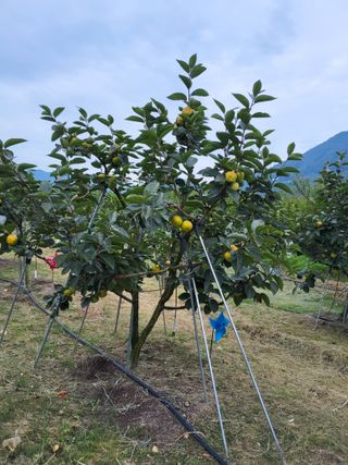 손수열님의 작성글 사진
