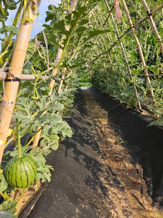 osm님의 작성글 사진