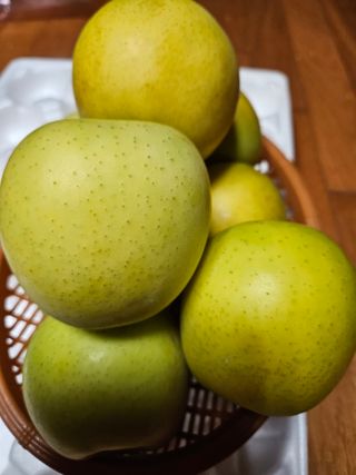 스마일님의 작성글 사진