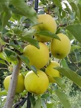 팜모닝 · 게시글 이미지