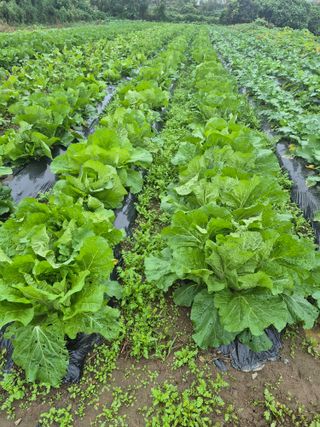 이정민님의 자유주제 · 자유게시판 작성글 사진