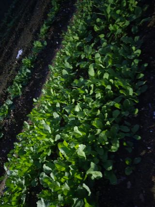 이정민님의 자유주제 · 자유게시판 작성글 사진