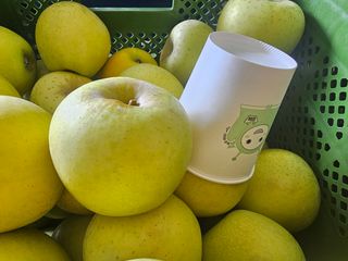 써니네님의 작성글 사진