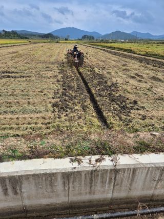 김영진(전남영광)님의 자유주제 · 자유게시판 작성글 사진