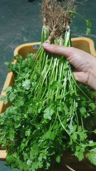 장계령님의 작성글 사진