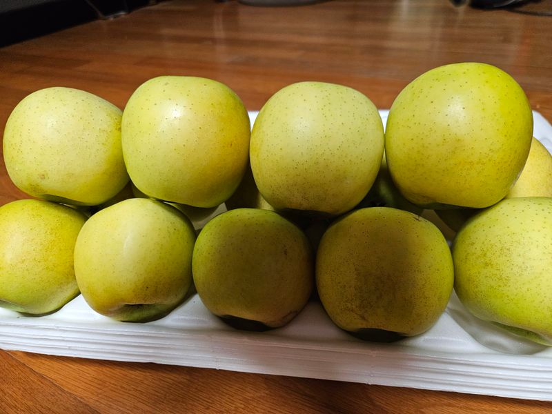 스마일님의 장터 판매 상품 [고랭지평창시나노골드] 첨부 사진