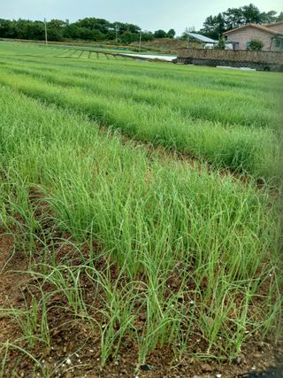 구춘모님의 자유주제 · 자유게시판 작성글 사진