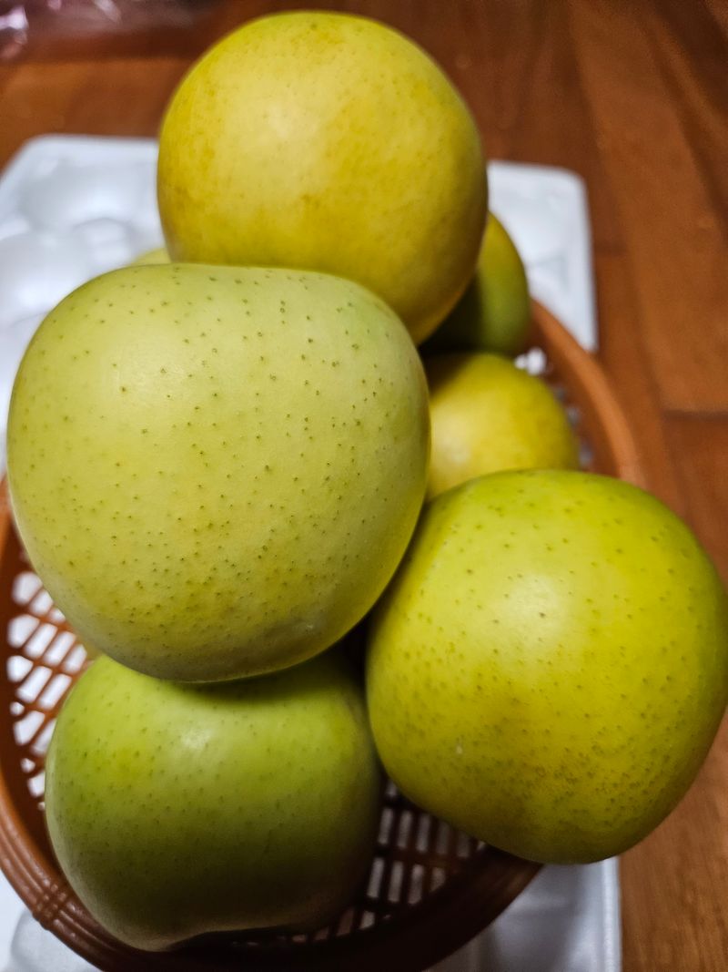 스마일님의 장터 판매 상품 [고랭지평창시나노골드] 첨부 사진