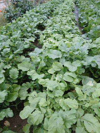 해맑은하늘님의 자유주제 · 자유게시판 작성글 사진