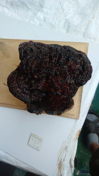 문상욱님의 자유주제 · 자유게시판 작성글 사진