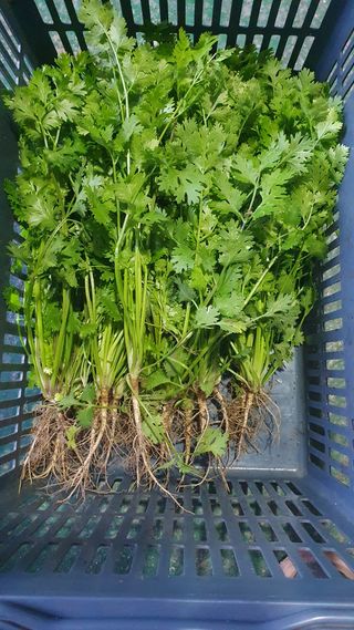 장계령님의 작성글 사진