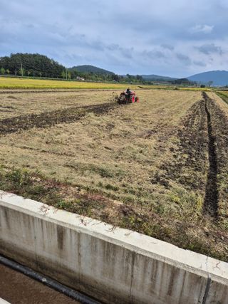 김영진(전남영광)님의 자유주제 · 자유게시판 작성글 사진