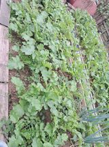 팜모닝 자유주제·자유게시판 게시글 이미지