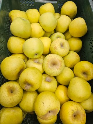 써니네님의 작성글 사진