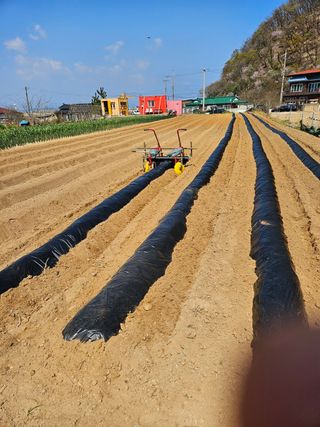 osm님의 작성글 사진