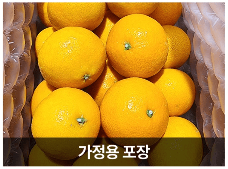 스피드번님의 장터 판매 상품 [제주도 고당도 황금향 ] 첨부 사진