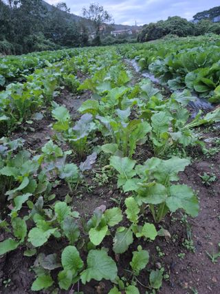 이정민님의 자유주제 · 자유게시판 작성글 사진