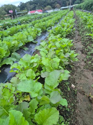 이정민님의 자유주제 · 자유게시판 작성글 사진