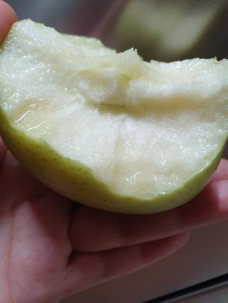 써니네님의 작성글 사진