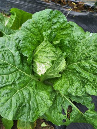 감자21491님의 자유주제 · 자유게시판 작성글 사진